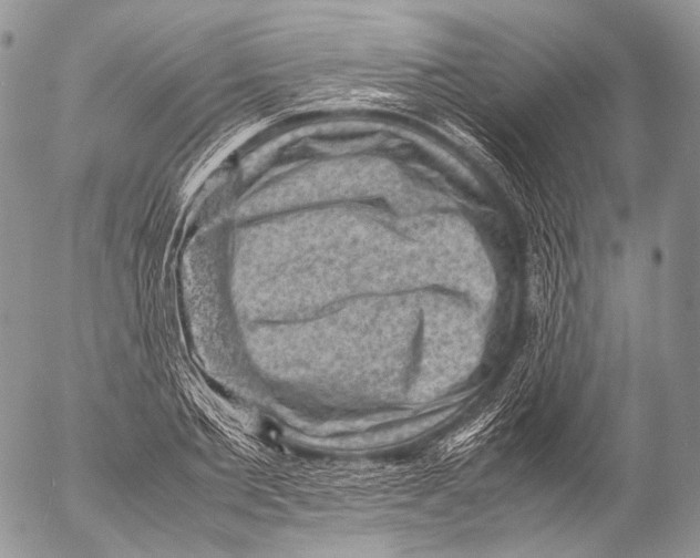 X0000053050885200508081126