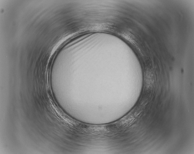 X0000053050886200508081126