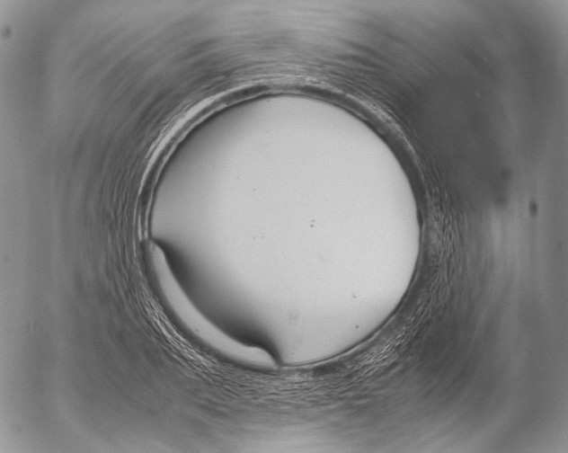 X0000053050887200508081126