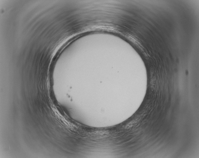 X0000053050888200508081126