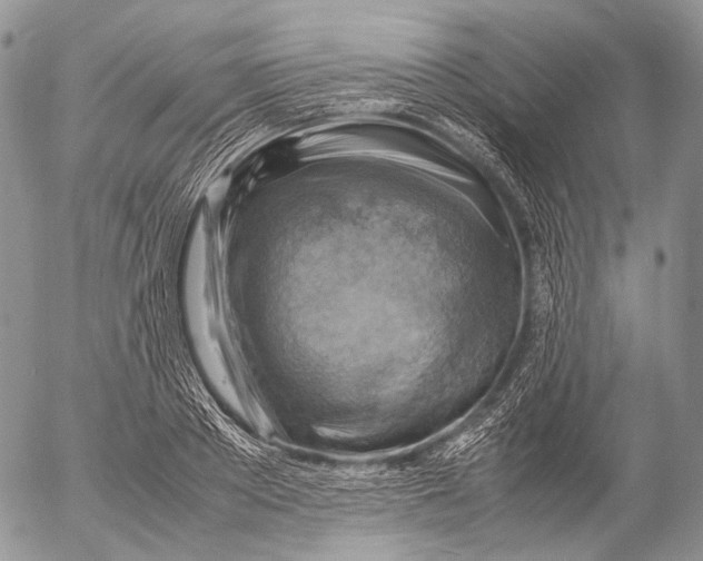 X0000053050889200508081126