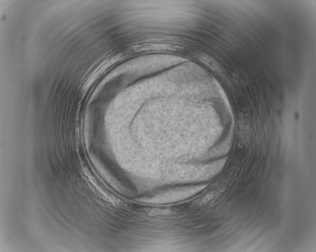 X0000053050890200508081125