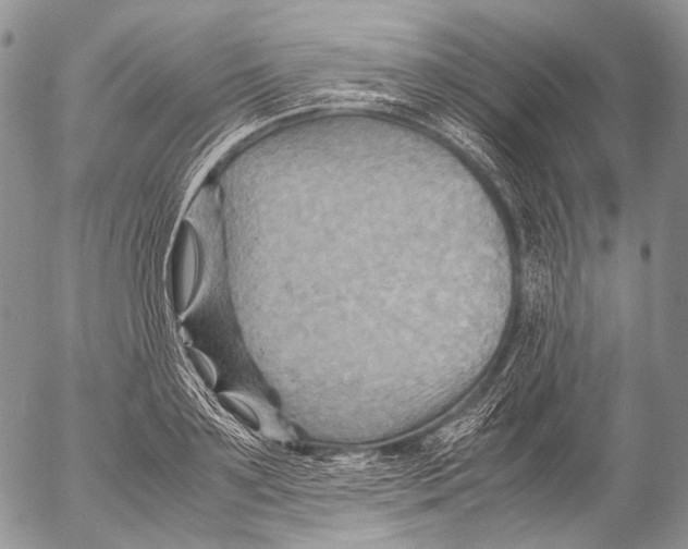 X0000053050891200508081125