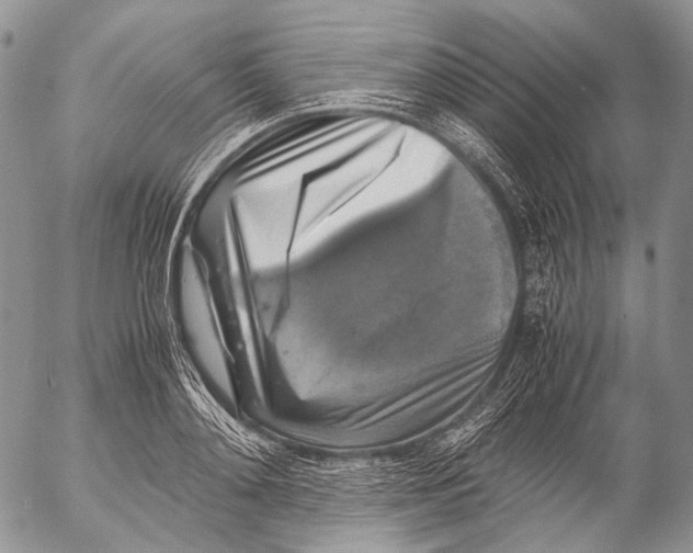 X0000053050892200508081125