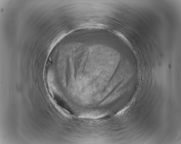 X0000053050893200508081125