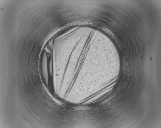 X0000053050894200508081125