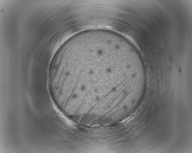 X0000053050895200508081125