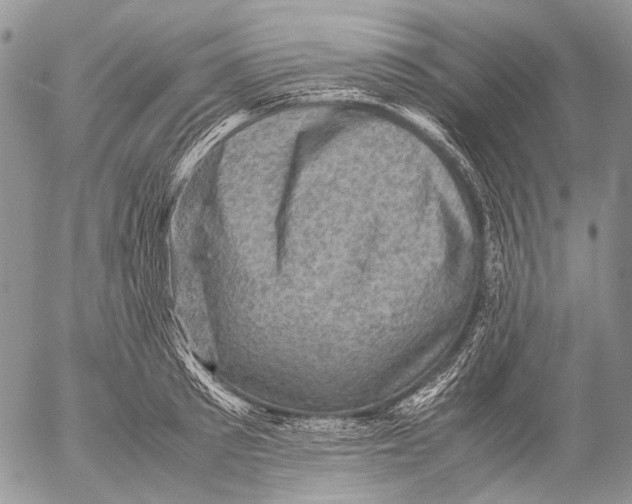 X0000053050897200508081125