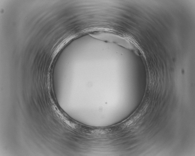 X0000053050898200508081125