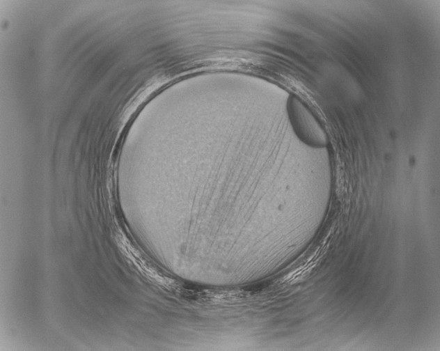 X0000053050899200508081125