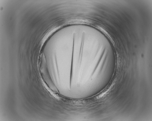 X0000053050901200508081125