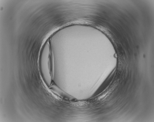 X0000053050902200508081125