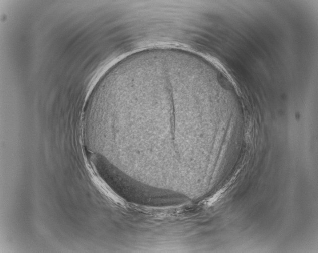 X0000053050903200508081125