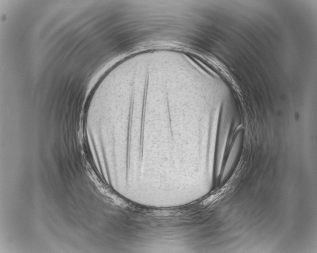 X0000053050904200508081125