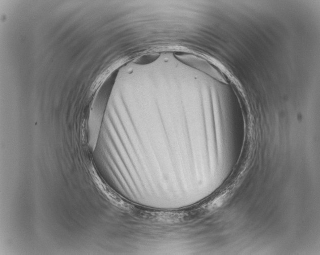 X0000053050905200508081125