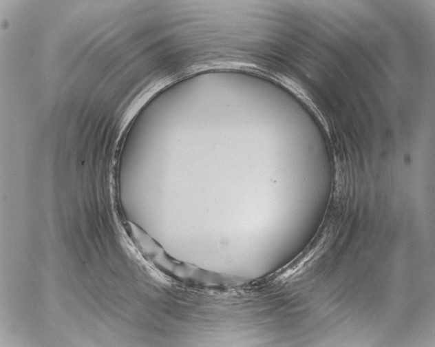 X0000053050906200508081125