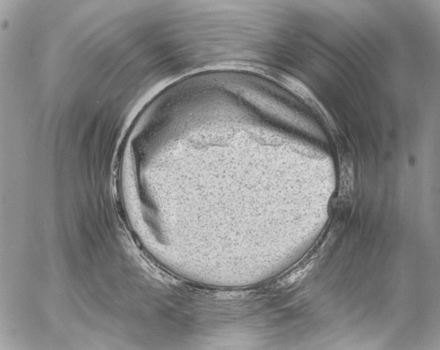 X0000053050908200508081125