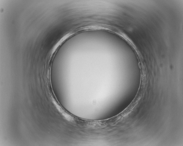 X0000053050909200508081125