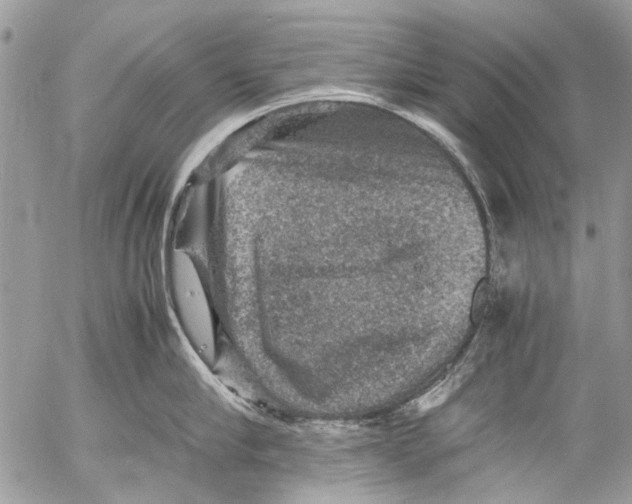 X0000053050910200508081125