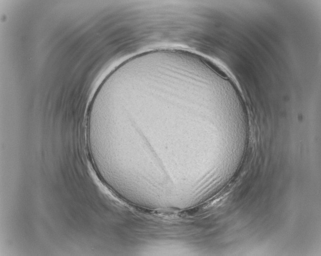 X0000053050911200508081125