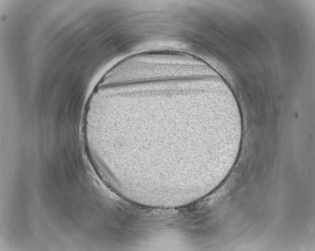 X0000053050912200508081125