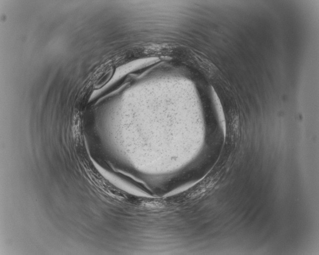 X0000053050914200508081124