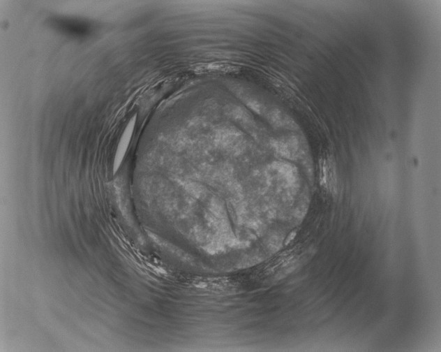 X0000053050915200508081124