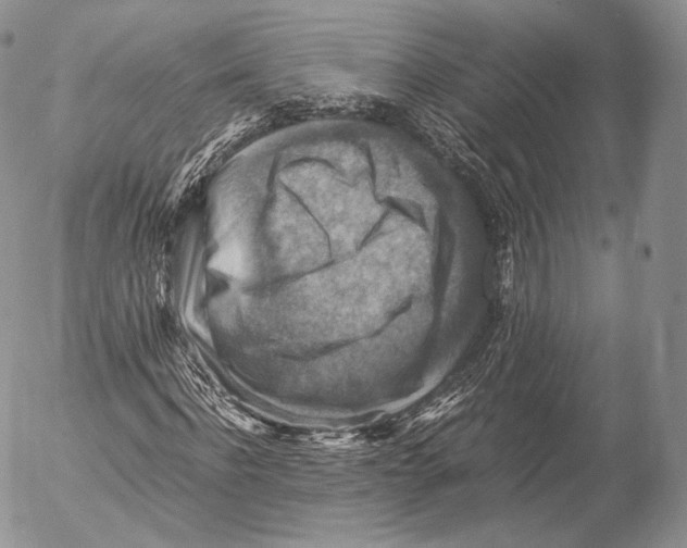 X0000053050916200508081124