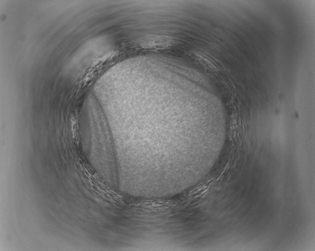 X0000053050917200508081124