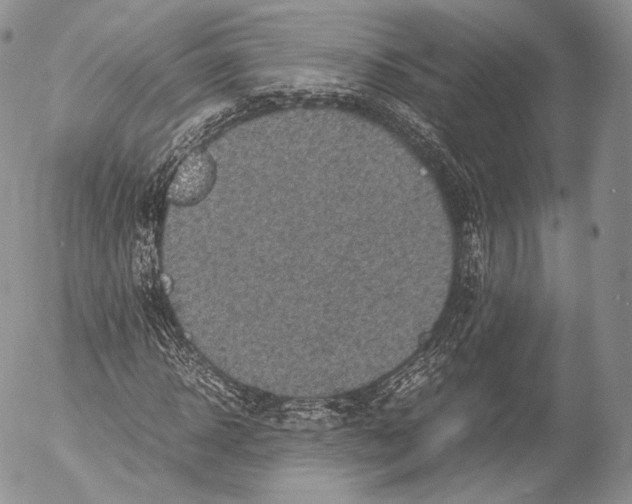 X0000053050918200508081124