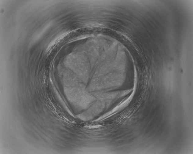 X0000053050919200508081124