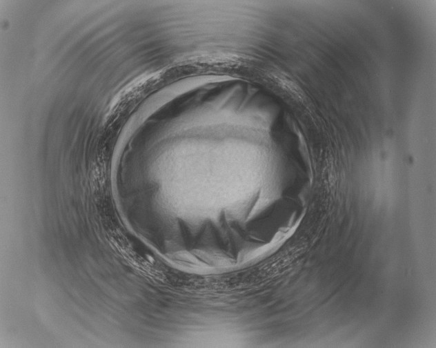 X0000053050920200508081124