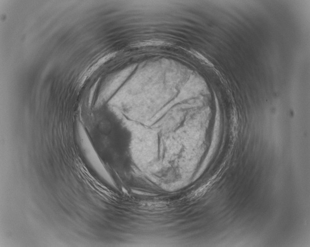 X0000053050921200508081124