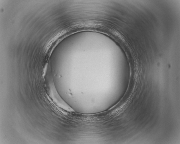 X0000053050922200508081124