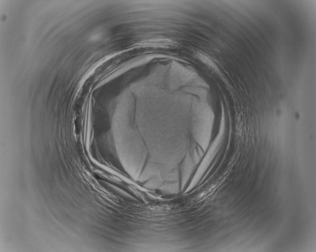 X0000053050923200508081125