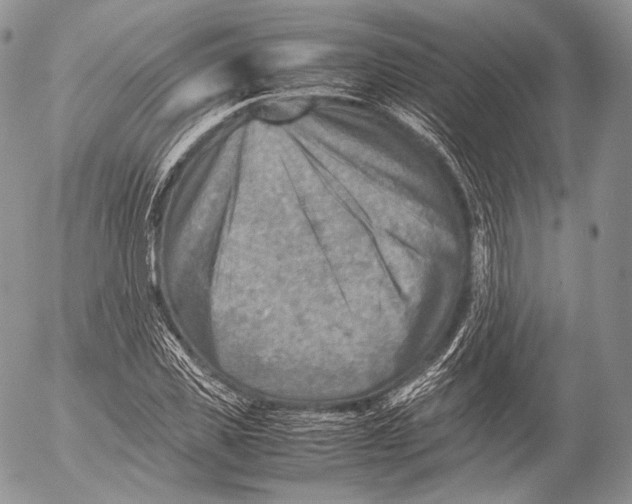 X0000053050925200508081125