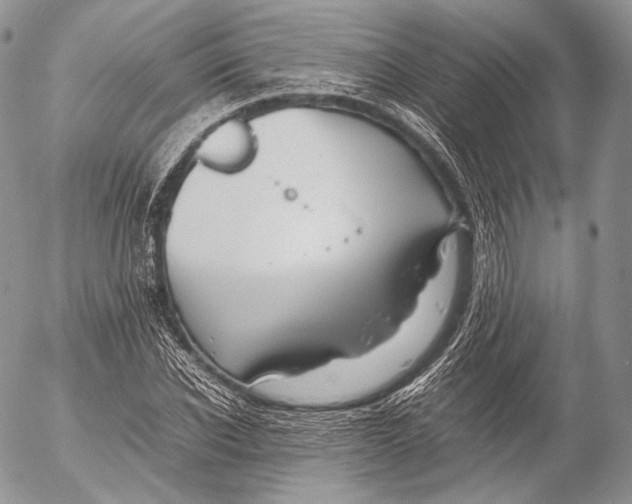 X0000053050926200508081125