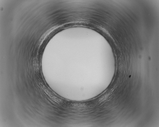 X0000053050927200508081125