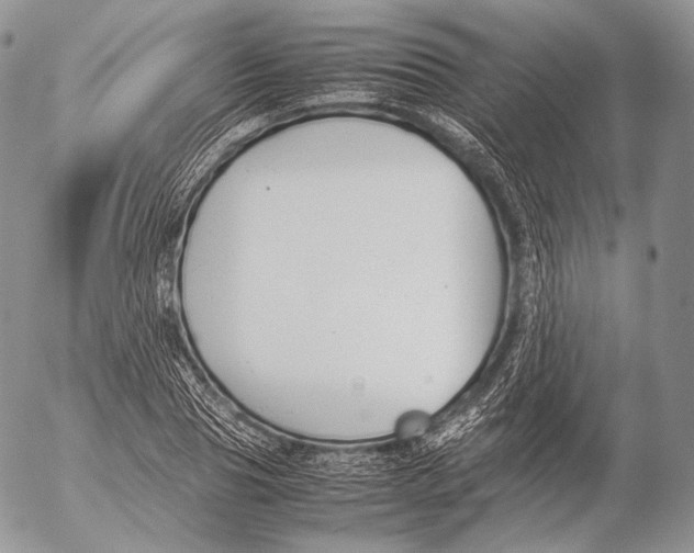 X0000053050929200508081125