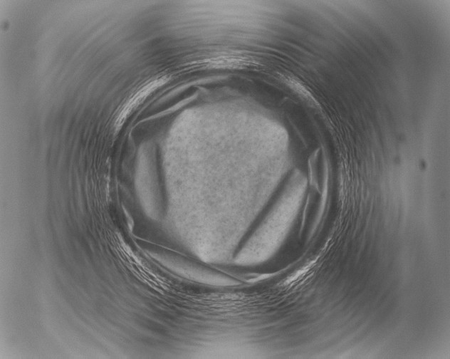 X0000053050930200508081125