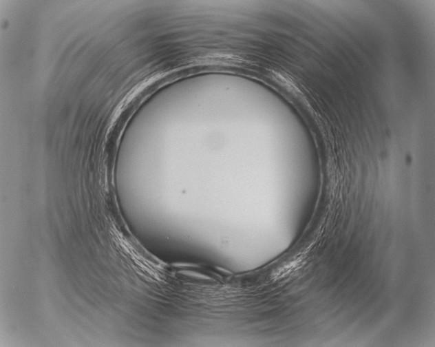 X0000053050931200508081125