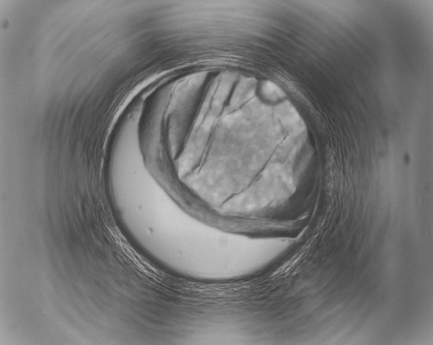 X0000053050932200508081125