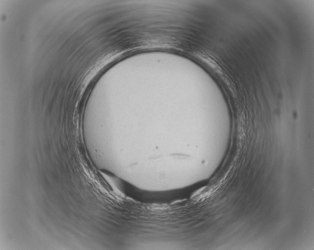 X0000053050933200508081125