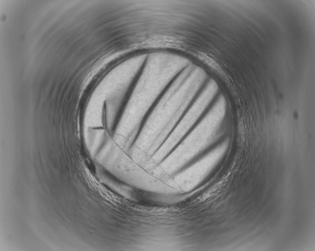 X0000053050934200508081125