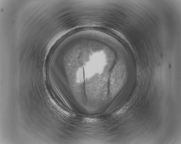 X0000053050935200508081125