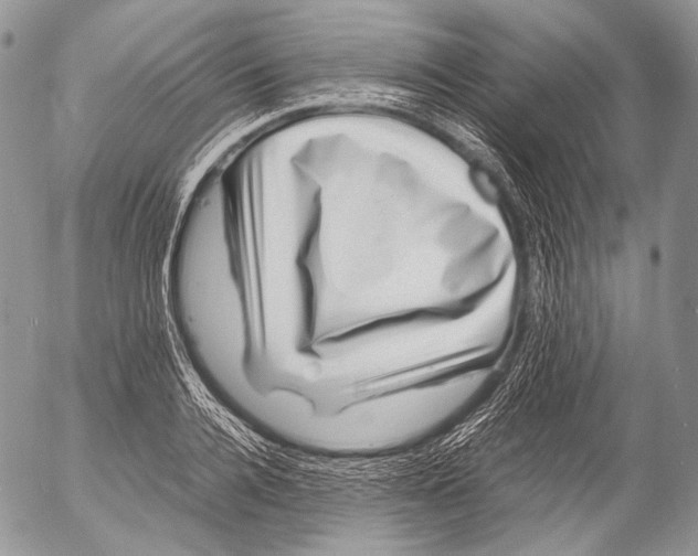 X0000053050936200508081125