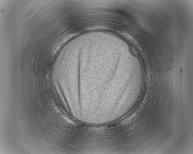 X0000053050937200508081125