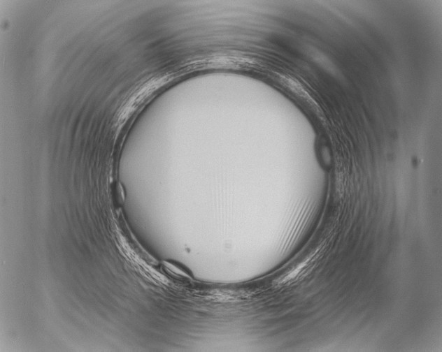 X0000053050938200508081125