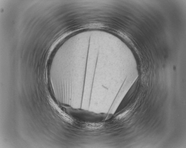 X0000053050939200508081125