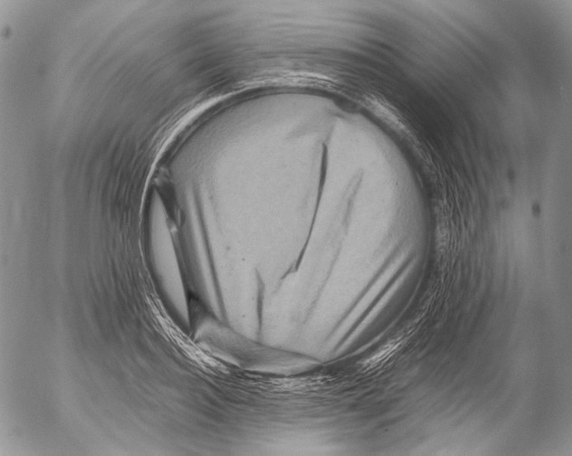 X0000053050940200508081125